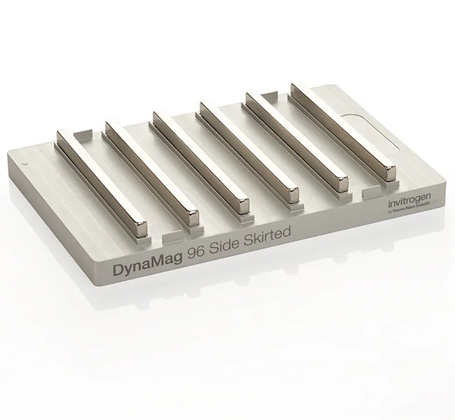 plate magnet